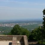 ... hinunter nach Neustadt an der Weinstraße 