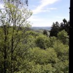 Der Frühling ist erwacht